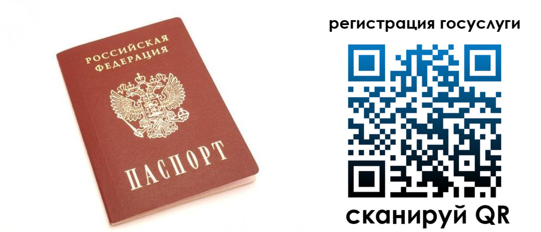 прописка для школы в Звенигово